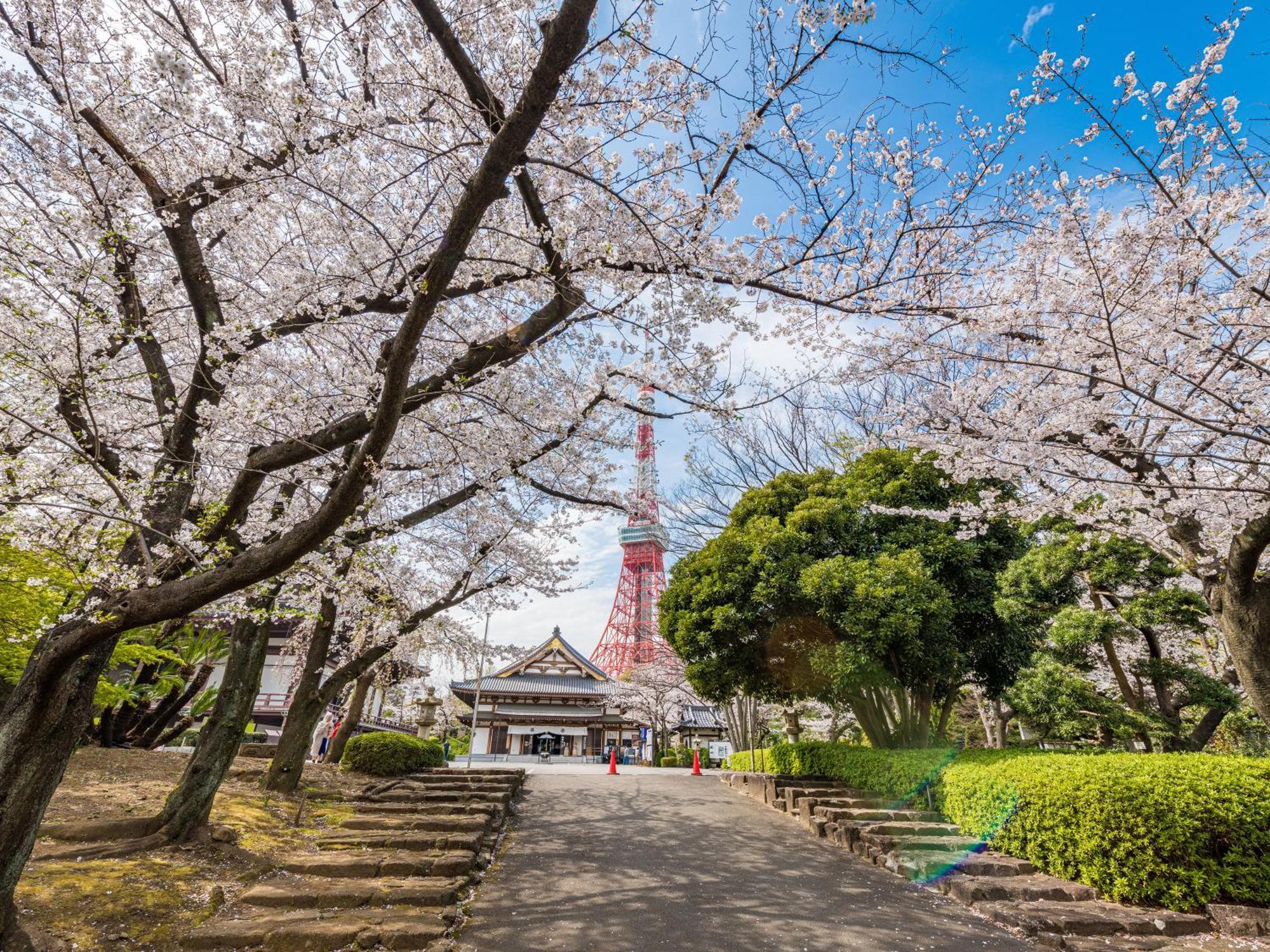 ホテル Illi Surp Shiba-Park 東京都 エクステリア 写真